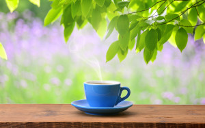 cup coffee and sunny trees background