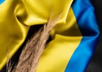 Колосок на фоні прапора України